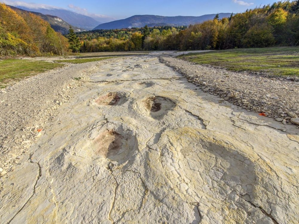 piste-d-empreintes-de-dinosaures-a-plagne